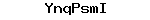 YnqPsmI